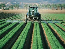 Producción Agropecuaria